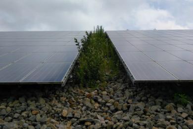 Grünpflege Photovoltaikpark Töging